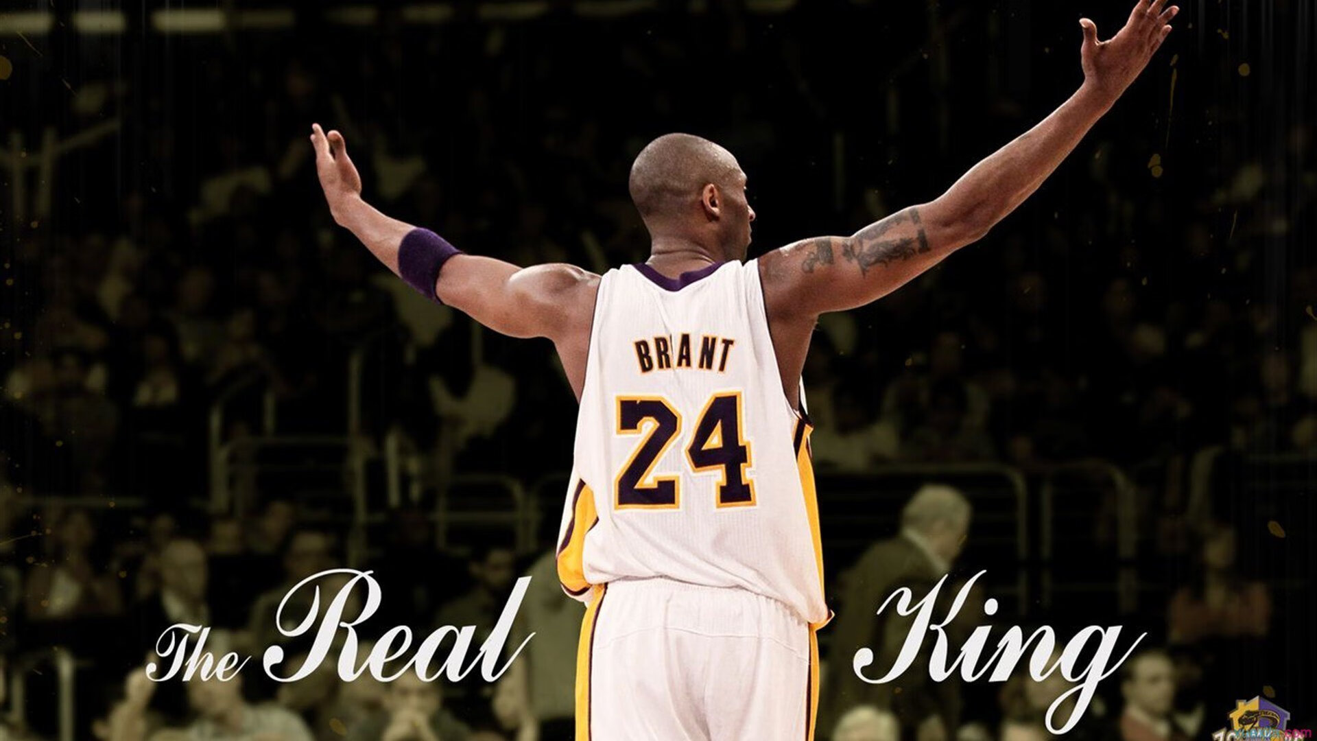 广厦破局，拉文封神，一场颠覆王朝的关键先生之战