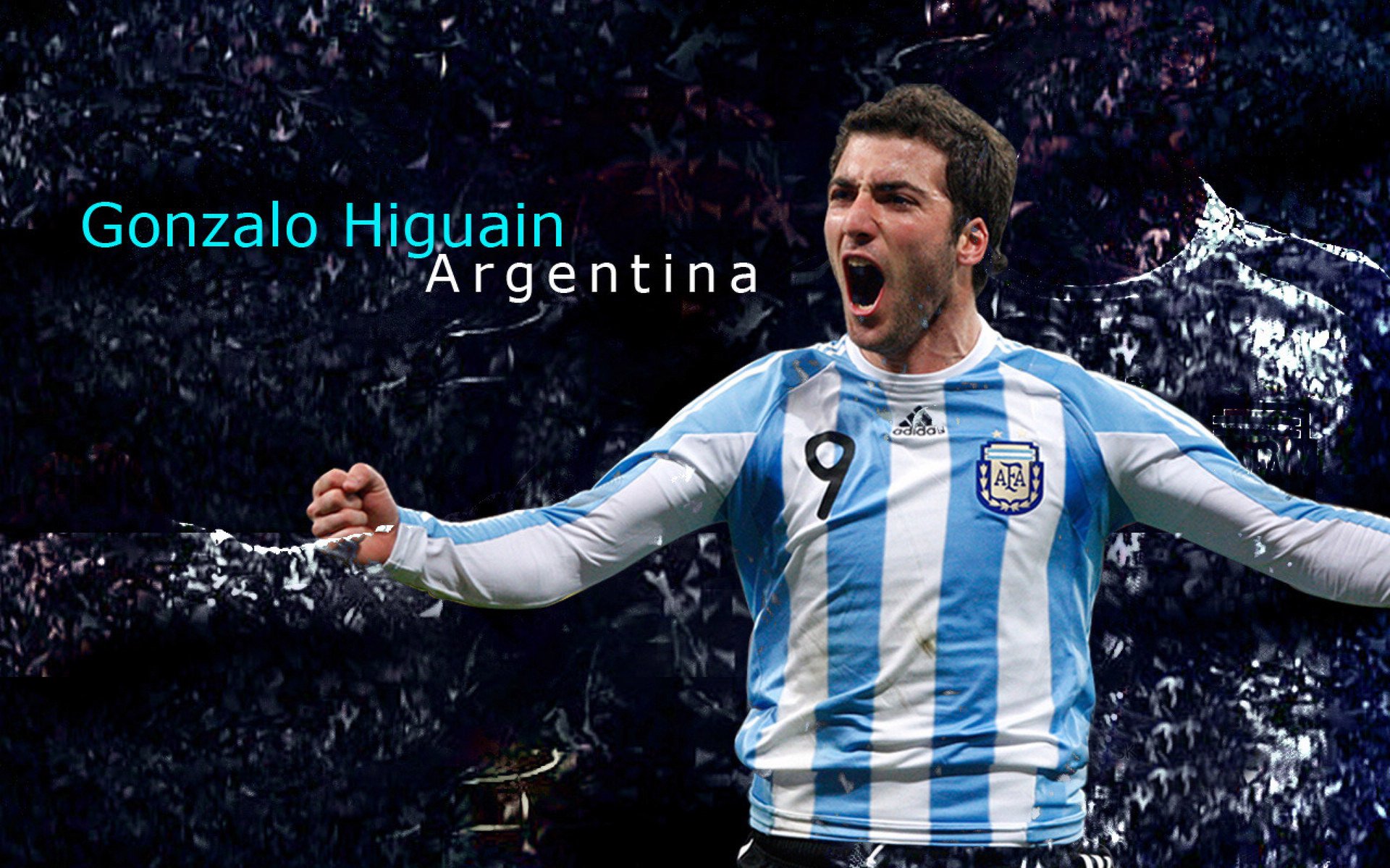 赛道上的双重奏，威廉姆斯轻取哈斯，塞恩斯高光表现诠释坚韧