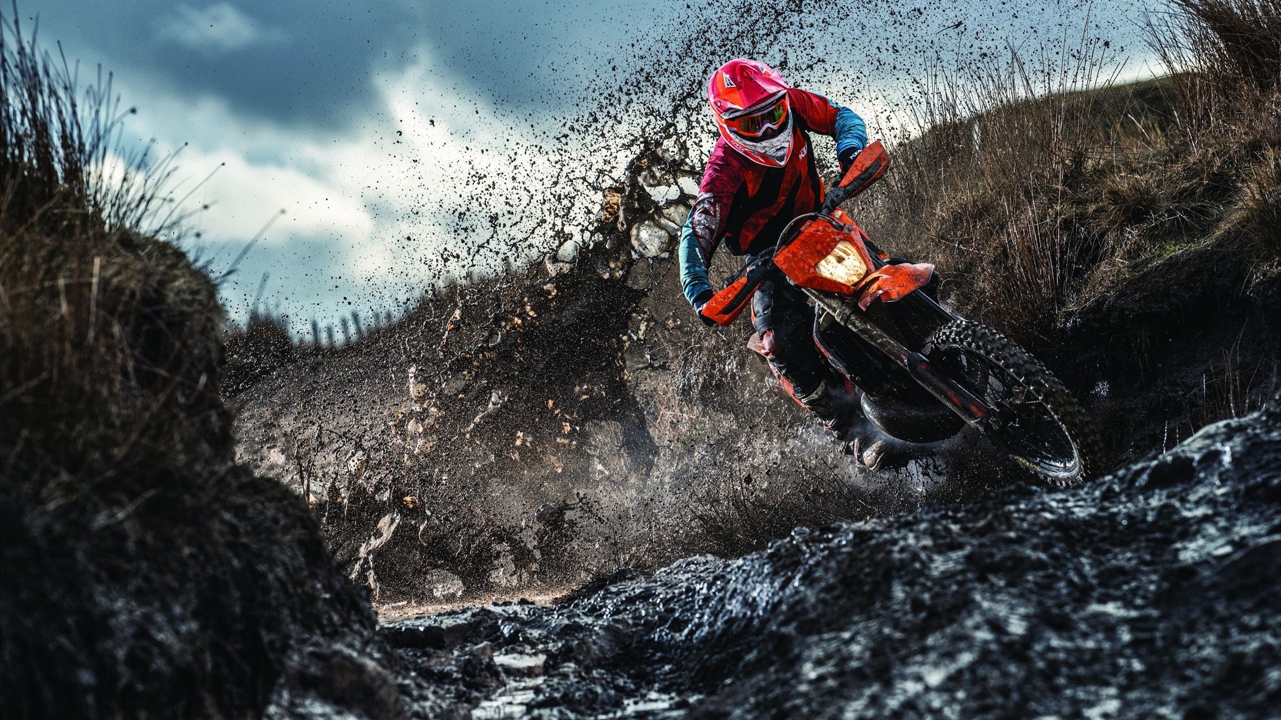 以下是为您构思的文章标题及正文